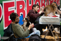 В Туле прошла выставка собак всех пород, Фото: 160