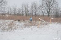 Гонки на собачьих упряжках «Большой тур» на Куликовом поле, Фото: 47