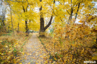 Золотая осень в Ясной Поляне, Фото: 110