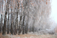 Тульский ноябрь, Фото: 16