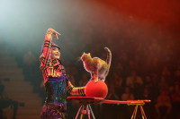 "Легенда": в тульском цирке – новая программа, Фото: 19