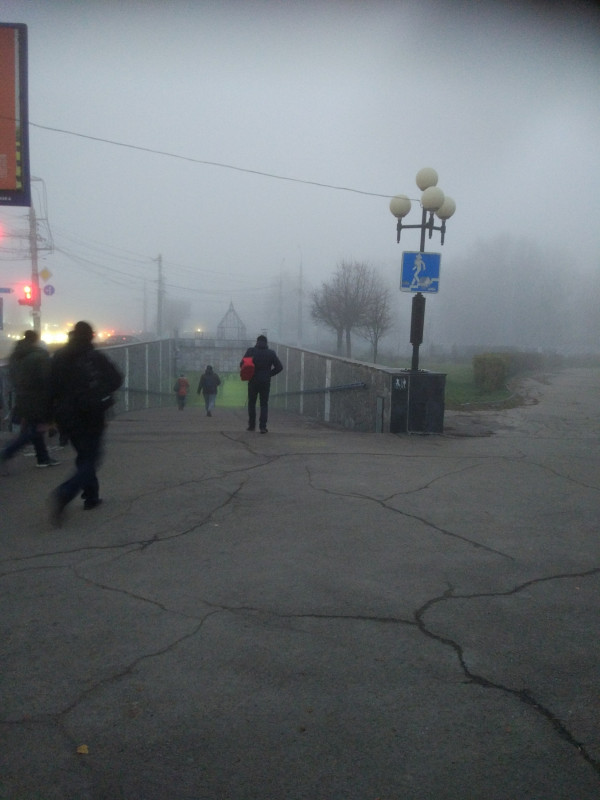 Туманное утро 