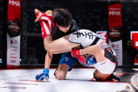В «Тула-Арене» состоялись областные соревнования по ММА, Фото: 136