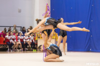 Соревнования по художественной гимнастике на призы благотворительного фонда «Земляки», Фото: 47