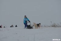 Гонки на собачьих упряжках «Большой тур» на Куликовом поле, Фото: 89