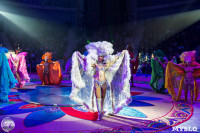 Программа Тропик-шоу в Тульском цирке, Фото: 1