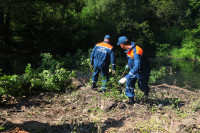 Спасатели приступили к расчистке берегов реки Воронки в Туле: фото, Фото: 17