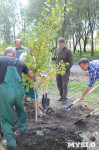 В Пролетарском районе высадили молодые деревья, Фото: 18