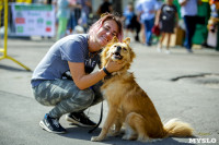 В Центральном парке Тулы проходит фестиваль помощи животным, Фото: 11