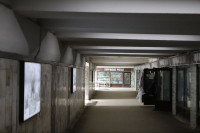 Предприниматели просят сохранить торговые ряды в подземном переходе на ул. Мосина в Туле, Фото: 2