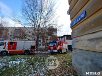 Пожар на ул. Михеева, 10-а, Фото: 18