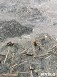 В пруду поселка Октябрьский в Туле из-за загрязнения гибнет рыба, Фото: 5