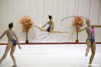 Соревнования по художественной гимнастике "Осенний вальс", Фото: 115