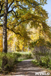 Золотая осень в Ясной Поляне, Фото: 32