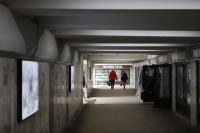 Предприниматели просят сохранить торговые ряды в подземном переходе на ул. Мосина в Туле, Фото: 19
