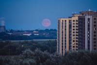 Осетровая Луна 2025, Фото: 1