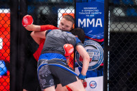 В «Тула-Арене» состоялись областные соревнования по ММА, Фото: 40