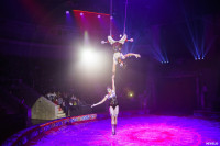Шоу Гии Эрадзе «5 континентов» в Тульском цирке: феерия уже началась!, Фото: 7