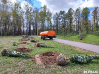 ЕВРАЗ посадил в Пролетарском парке 100 деревьев, Фото: 15