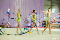 Всероссийские соревнования по художественной гимнастике на призы Посевиной, Фото: 80