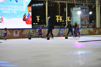 «Академия Михайлова» и Губернский каток 2025, Фото: 12