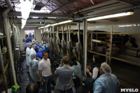 Конкурс профессионального мастерства среди операторов машинного доения коров, Фото: 44