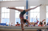 Соревнования по художественной гимнастике, Фото: 99