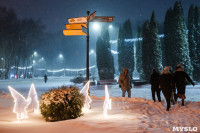 Декабрьский снегопад в Туле, Фото: 91