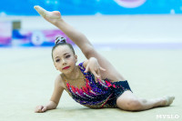 Тула провела крупный турнир по художественной гимнастике, Фото: 54