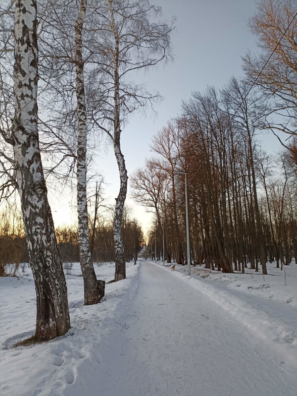 Баташевский сад. 