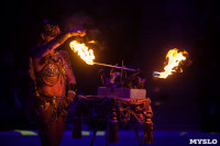 "Тайна пирата" в Тульском цирке, Фото: 24