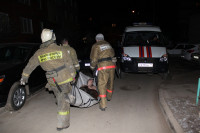 В Туле пожарные спасли двух человек, Фото: 1
