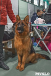 Выставка собак в Туле 26.01, Фото: 61