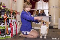 Выставка собак в ДК "Косогорец", Фото: 17