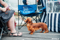 Всероссийская выставка собак в Туле, Фото: 63