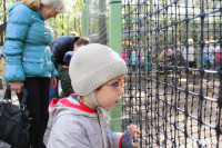 В Новомосковске открылся мини-зоопарк, Фото: 8