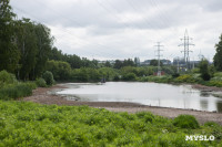 Почему обмелел пруд в Рогожинском парке Тулы?, Фото: 6