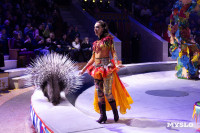 Цирковое шоу Жар птица, Фото: 130