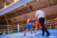 Финал турнира по боксу "Гран-при Тулы", Фото: 39
