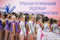 Соревнования по эстетической гимнастике «Кубок Роксэт», Фото: 126
