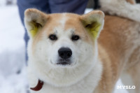 Зайцы на огромных сапах, Бабки-ёжки и индеец на каяке: почти 200 «идиотульцев» проплыли по Вашане, Фото: 34