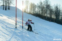 Первый этап чемпионата и первенства Тульской области по горнолыжному спорту, Фото: 41