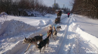 Зимний поход с собаками, Фото: 8