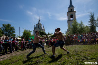 В Тульской области прошел фестиваль крапивы, Фото: 211
