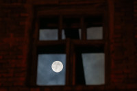 Бобровое суперлуние в Туле: фоторепортаж, Фото: 11