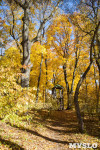 Золотая осень в Ясной Поляне, Фото: 18