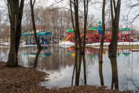 В Туле затопило Баташевский сад, Фото: 36