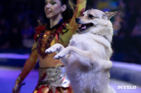 Цирковое шоу Жар птица, Фото: 75