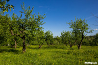 Летний день в Ясной Поляне, Фото: 33