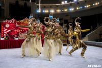 Грандиозное цирковое шоу «Песчаная сказка» впервые в Туле!, Фото: 28
